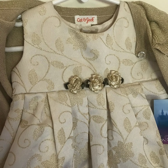 La Princess Gold Shimmer Sparkle Swiss Roses Dress - Picture 8 of 11